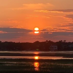 Meet your Posher, Cole